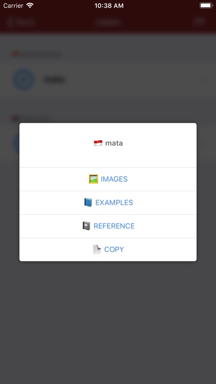 20 Indonesian Dictionaries screenshot-3