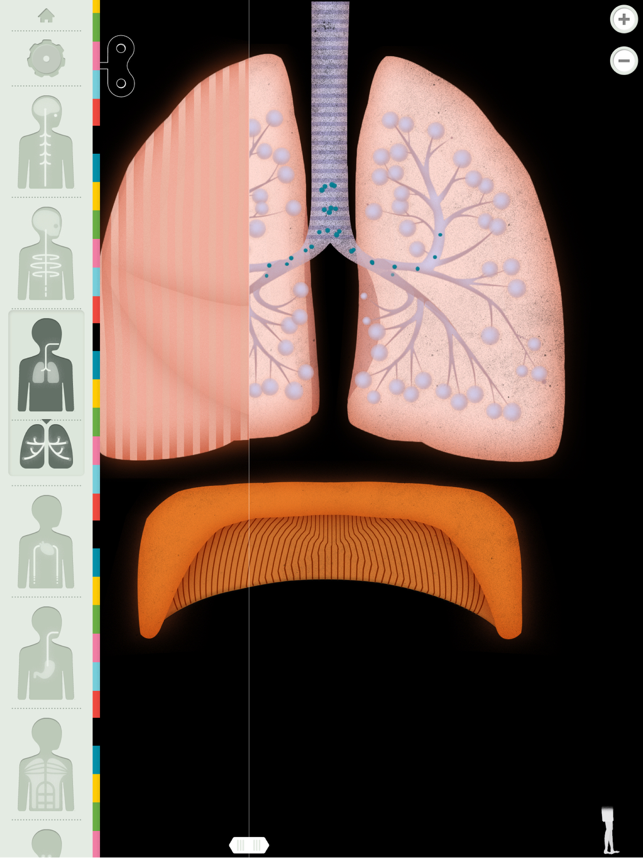 遊びながら人体の仕組みがわかるアプリ The Human Body あそんでまなぼう あそびまなびソース