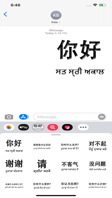 Punjabi Chinese screenshot 2