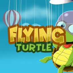 Flying Turtle - Lite