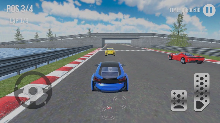 Car Racing Cup 3D screenshot-3
