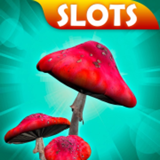 Slots: The Story Of 4 Seasons