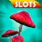 Slot machine simulator "Mushrooms Slots" is a collection of fairy-tale slots with your favorite stories