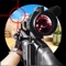 Join in this fun game