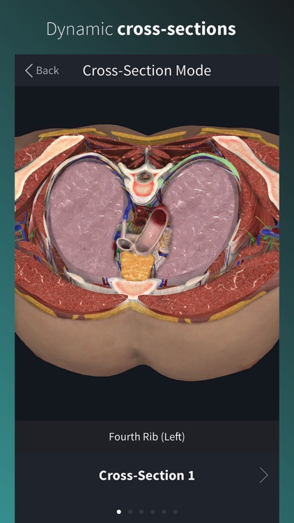 Complete Anatomy Platform '20