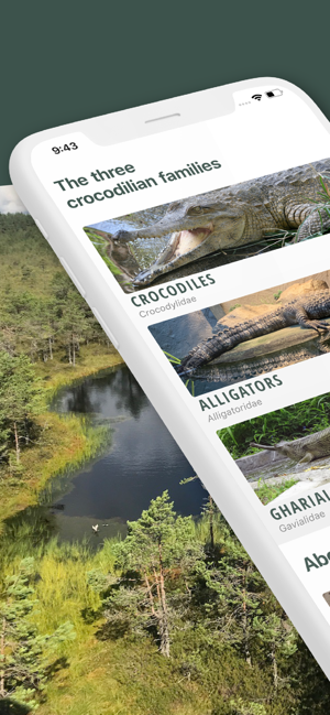 Crocodile, Alligator, Gharial(圖1)-速報App