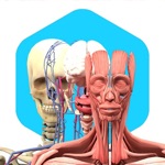 Anatomy l Cuerpo Humano AR