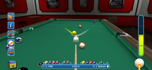 Pro Pool 2020