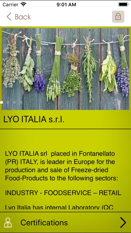 LYO ITALIA