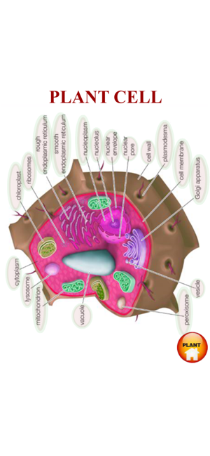 ANATOMY 3D Pro(圖7)-速報App