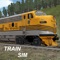 With over 20M downloads, Train Sim is the realistic train simulator suitable for both adults and kids who enjoy trains