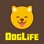 BitLife Dogs - DogLife