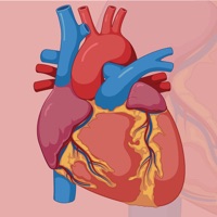 Learn Cardiovascular System pour PC