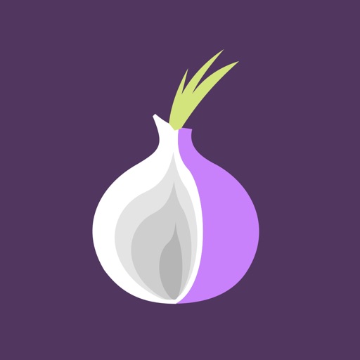 Скачать браузер тор бесплатно для айпад mega browser onion tor mega2web