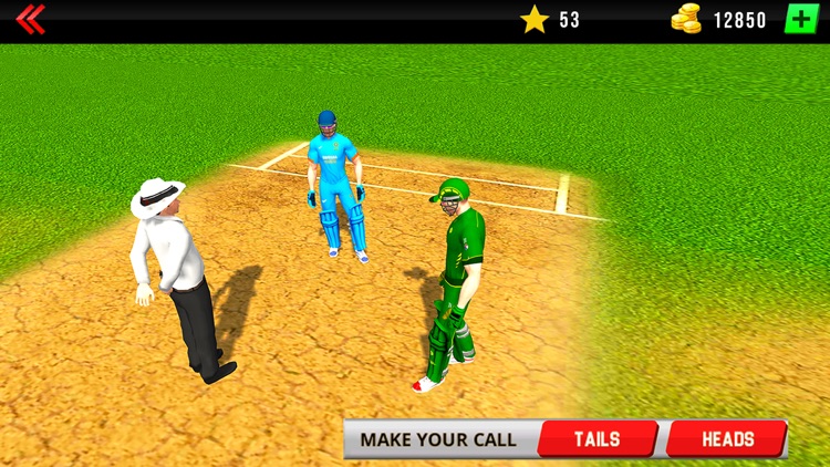 Real World Cricket League