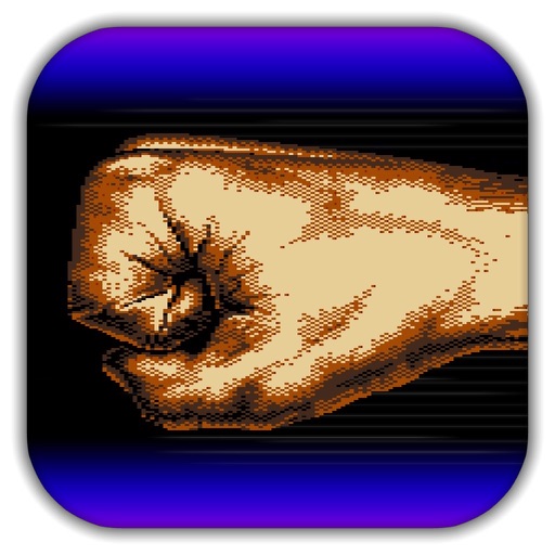 Street Karate Fighter iOS App