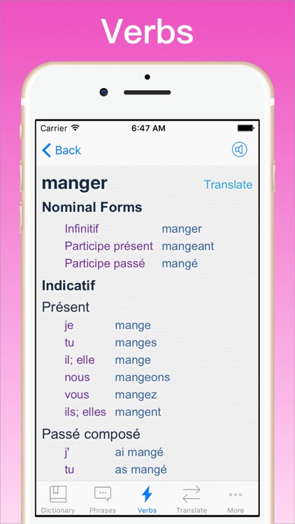 French Dictionary + © screenshot-3