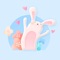 Express your mood through this group of rabbit pink