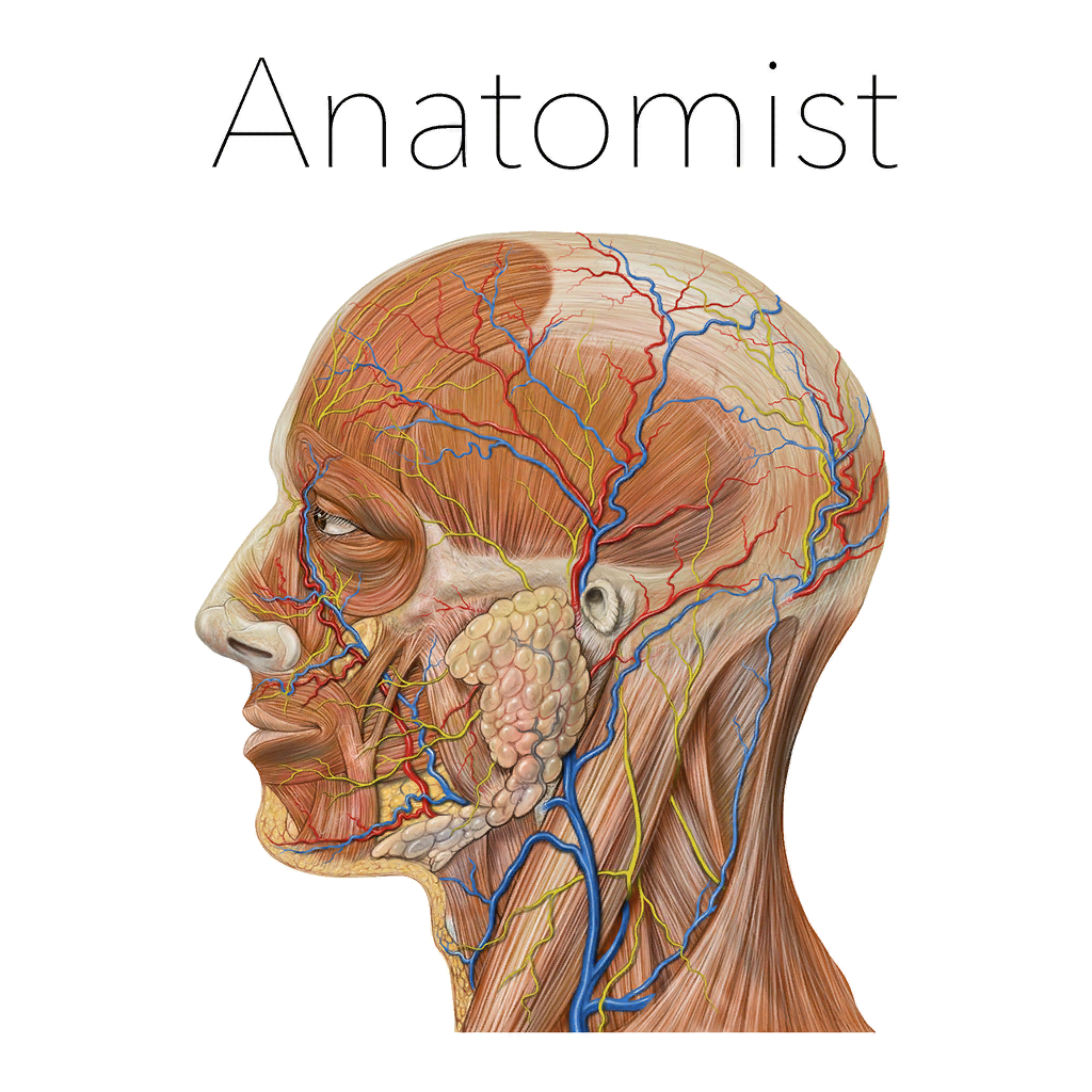 Anatomist – Anatomy Quiz Game App Icon