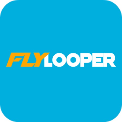 FlyLooper