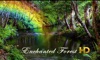 Enchanted Forest HD