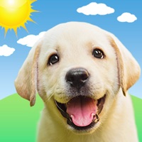  Weather Puppy Forecast + Radar Alternatives