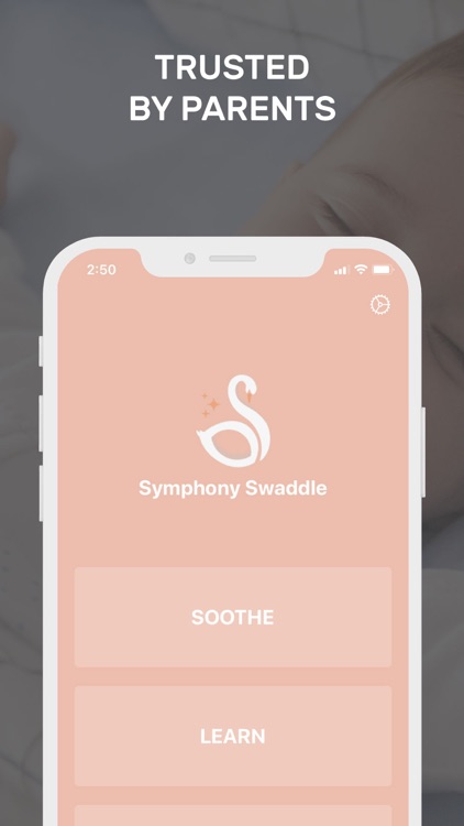 Symphony Swaddle