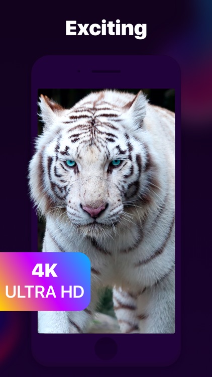 Live Wallpaper & Wallpapers 4K