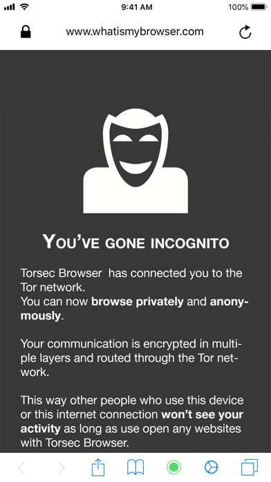 Torsec Browserのおすすめ画像2