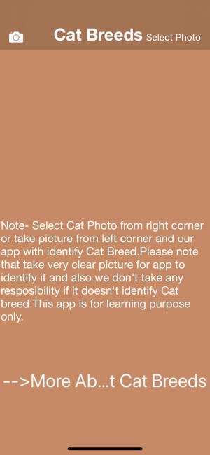 Cat Breeds - Identify your Cat