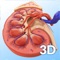 Kidney Anatomy app for studying human Kidney anatomy which allows you to rotate 360° , Zoom and move camera around a highly realistic 3D model