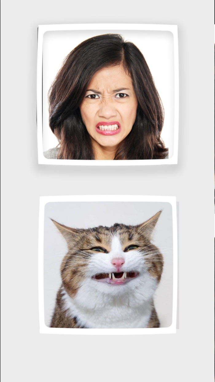 Funny Animals Mimics