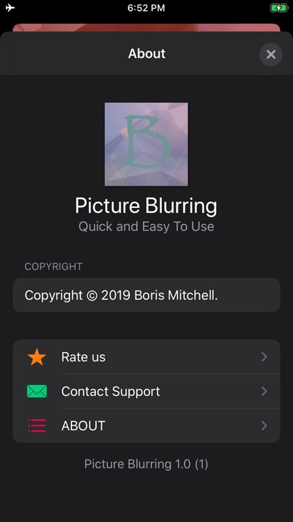 PictureBlurring-Quick and Easy screenshot-4