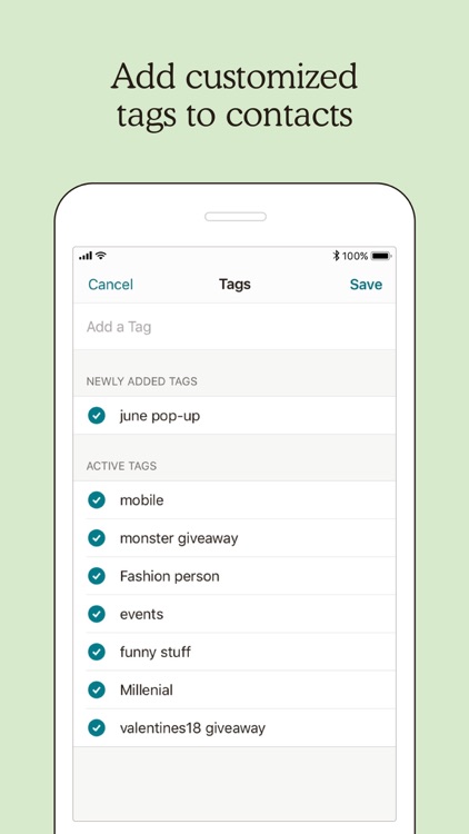 Mailchimp screenshot-3