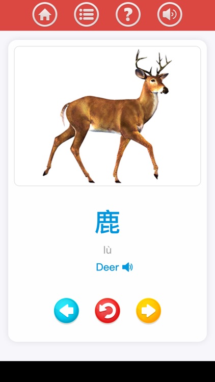 Chinese for beginner screenshot-8