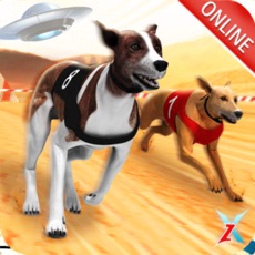 Activities of Mars Dog Racing Online