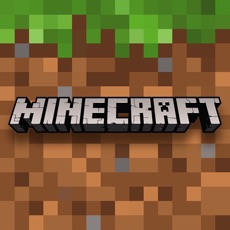 Activities of Minecraft