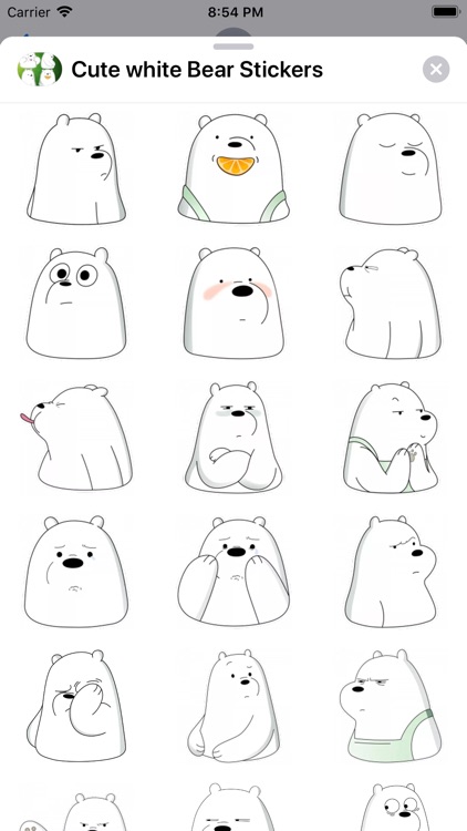 Cute white Bear Stickers