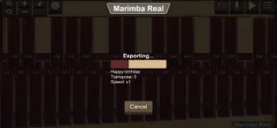 Immagine dello schermo 5 Marimba, Xylophone, Vibraphone iphone