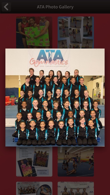 ATA Gymnastics