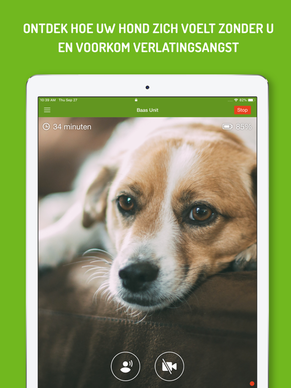 Hond Monitor iPad app afbeelding 2