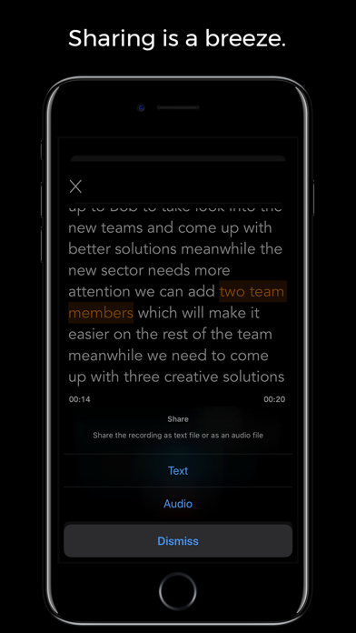 Smart Voice Recorder - Offline Screenshot on iOS