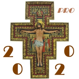 + 2020 Pro
