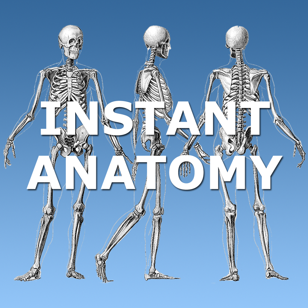 Get Anatomy Lectures and MCQs for iOS, iPhone, iPad Aso Report