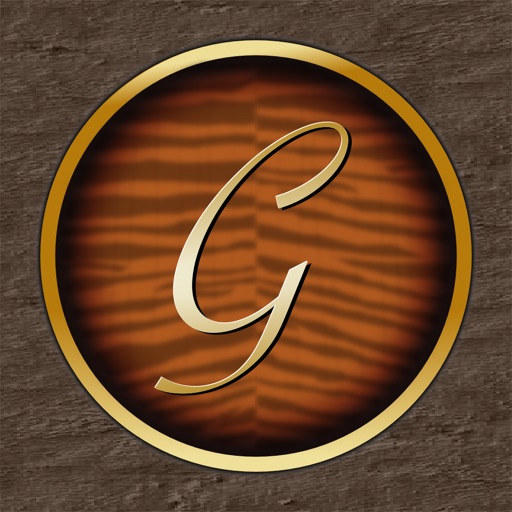 Guitar Tuner TN-1G iOS App