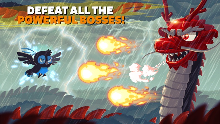 Ninja Dash - Sushi Blade screenshot-5