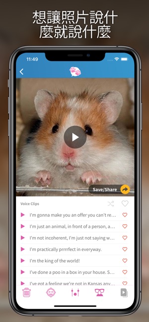 我的寵物會說話(圖3)-速報App