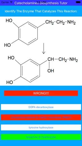 Game screenshot Catecholamines Synthesis Tutor hack