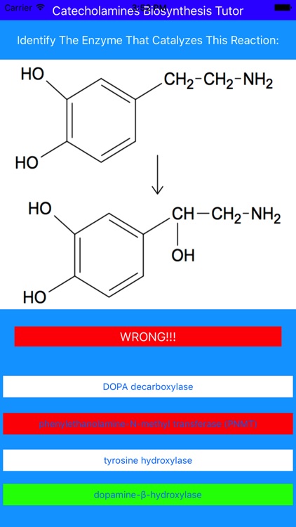 Catecholamines Synthesis Tutor