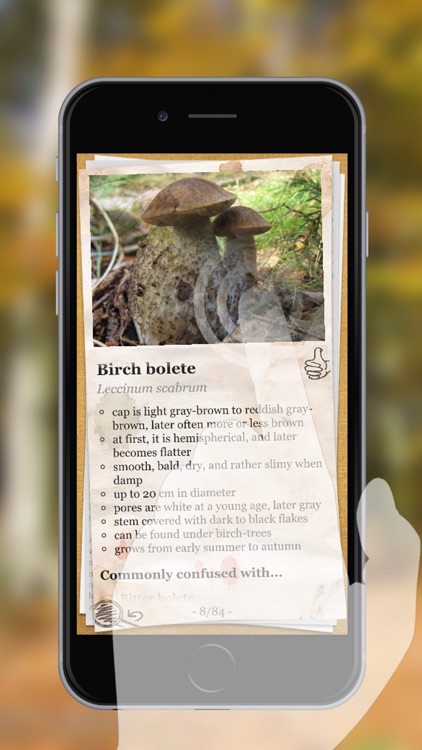 The Mushroom Book PRO screenshot-1